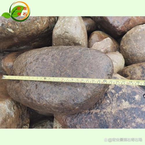 深圳鹅卵石造景-鹅卵石多少元,鹅卵石就是一种园林景观铺建地面的假山