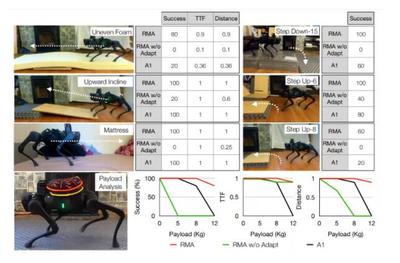 跨石滩、过草地,UC伯克利等研发新型机器人运动算法,实时快速适应变化环境